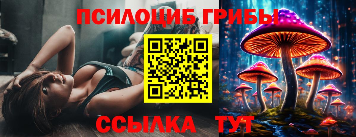 Псилоцибиновые грибы прущие грибы Тимашёвск